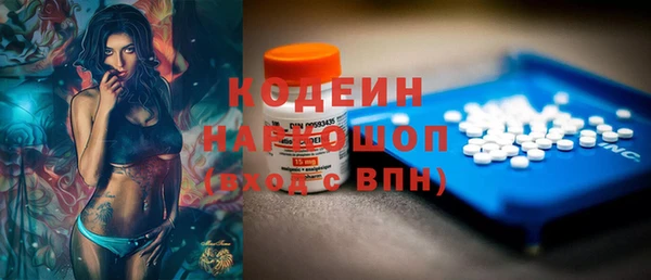 шишки Костерёво