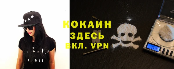 шишки Костерёво