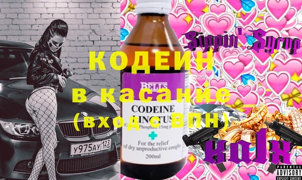шишки Костерёво
