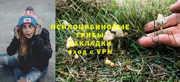 мет Корсаков