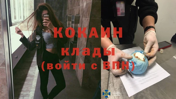 стаф Коряжма