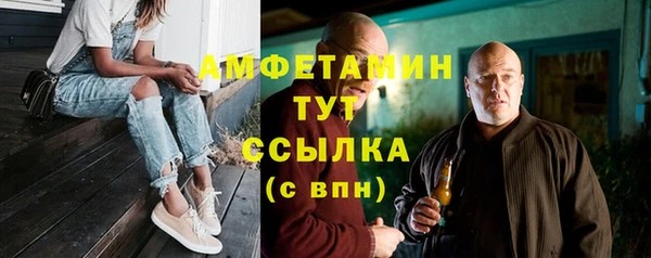 шишки Костерёво
