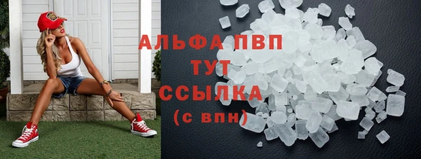 шишки Костерёво