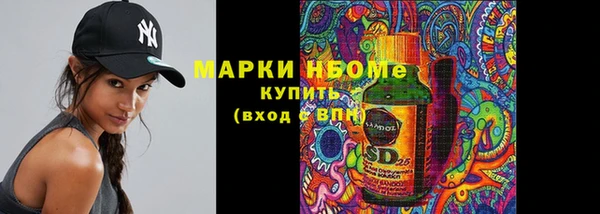 шишки Костерёво